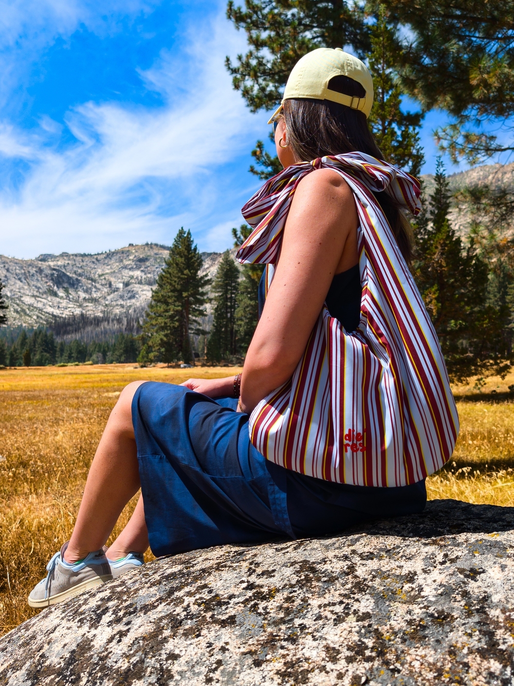 Striped Shoulder Tote Bag in Multi-Color